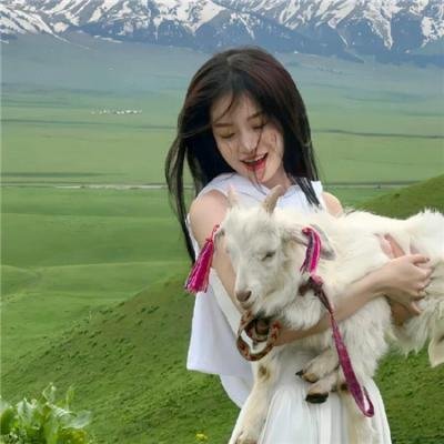 复仇歼敌记